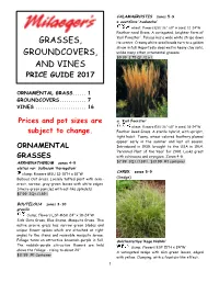 GRASSES, Its Center