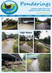 High Water Light at the End of the Tunnel? Contents 2 Just When You Thought It Was Safe to Go Back in the Water