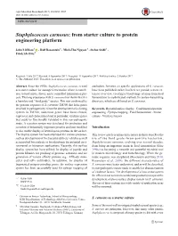 Staphylococcus Carnosus: from Starter Culture to Protein Engineering Platform