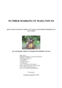 Mada Nominal Plurals