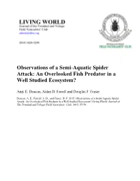 Observations of a Semi-Aquatic Spider Attack: an Overlooked Fish Predator in A