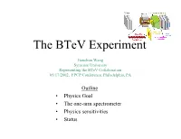The Btev Experiment