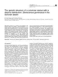 The Genetic Structure of a Columnar Cactus with a Disjunct Distribution: Stenocereus Gummosus in the Sonoran Desert