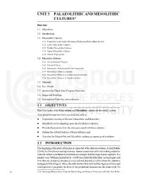 Unit 3 Palaeolithic and Mesolithic Cultures*