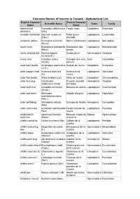 Common Names of Insects in Canada