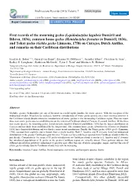 First Records of the Mourning Gecko (Lepidodactylus Lugubris