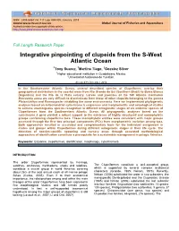 Integrative Pinpointing of Clupeids from the S-West Atlantic Ocean