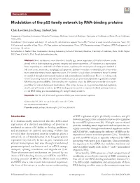 Modulation of the P53 Family Network by RNA-Binding Proteins