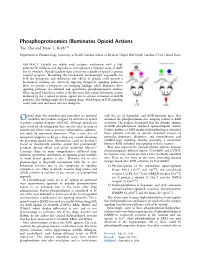Phosphoproteomics Illuminates Opioid Actions Tao Che and Bryan L