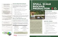 Small Scale Biochar Production and Require All Feedstock to Be Loaded at the Beginning of Is Open at the Top to Allow Air to Reach the Burning Biomass