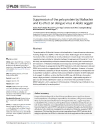 Suppression of the Pelo Protein by Wolbachia and Its Effect on Dengue Virus in Aedes Aegypti