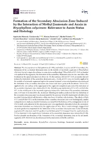 Formation of the Secondary Abscission Zone Induced by the Interaction of Methyl Jasmonate and Auxin in Bryophyllum Calycinum: Relevance to Auxin Status and Histology