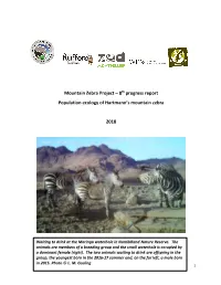 Mountain Zebra Project – 8Th Progress Report Population Ecology of Hartmann’S Mountain Zebra