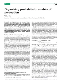 Organizing Probabilistic Models of Perception