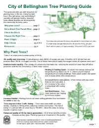 Tree Planting Guide