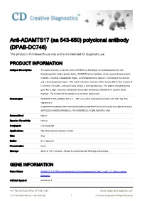 Anti-ADAMTS17 (Aa 543-650) Polyclonal Antibody (DPAB-DC746) This Product Is for Research Use Only and Is Not Intended for Diagnostic Use