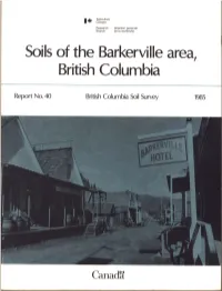 Bc40 Report.Pdf