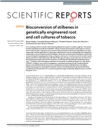 Bioconversion of Stilbenes in Genetically Engineered Root and Cell