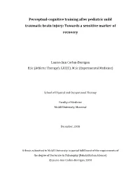 Cognitive Training After Pediatric Mild Traumatic Brain Injury: Towards a Sensitive Marker of Recovery