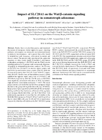 Impact of SLC20A1 on the Wnt/Β‑Catenin Signaling Pathway in Somatotroph Adenomas