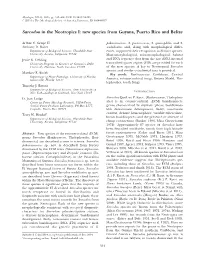 Sarcodon in the Neotropics I. New Species From
