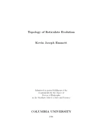 Topology of Reticulate Evolution