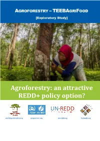 Agroforestry: an Attractive REDD+ Policy Option?