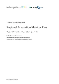 Regional Innovation Monitor Plus