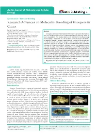 Research Advances on Molecular Breeding of Groupers in China
