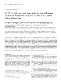 5,6-EET Is Released Upon Neuronal Activity and Induces Mechanical Pain Hypersensitivity Via TRPA1 on Central Afferent Terminals