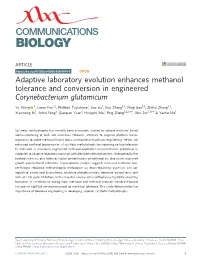Adaptive Laboratory Evolution Enhances Methanol Tolerance and Conversion in Engineered Corynebacterium Glutamicum
