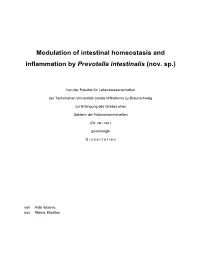 Modulation of Intestinal Homeostasis and Inflammation by Prevotella Intestinalis (Nov