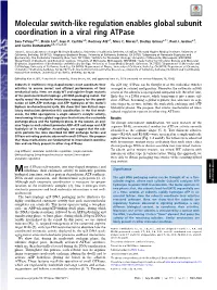 Molecular Switch-Like Regulation Enables Global Subunit Coordination in a Viral Ring Atpase