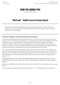 Send the Guinea Pig! the Judaism Site