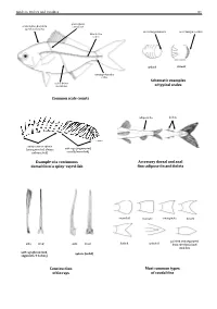 Field Identification Guide to the Living Marine Resources in Kenya