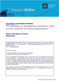 Privatization in Developing Countries: What Are the Lessons of Recent Experience?