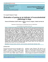 Evaluation of Pacing As an Indicator of Musculoskeletal Pathology in Dogs
