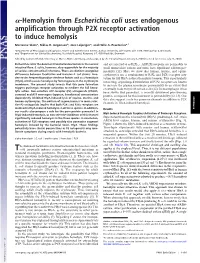 Hemolysin from Escherichia Coli Uses Endogenous Amplification Through P2X Receptor Activation to Induce Hemolysis