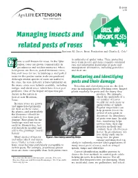 Managing Insects and Related Pests of Roses Bastiaan M