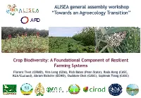 ALISEA General Assembly Workshop “Towards an Agroecology Transition”
