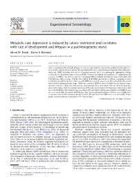 Metabolic Rate Depression Is Induced by Caloric Restriction and Correlates with Rate of Development and Lifespan in a Parthenogenetic Insect