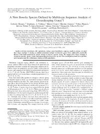 A New Borrelia Species Defined by Multilocus Sequence Analysis Of