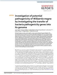Downloaded from the Virulence Factor of Pathogenic Bacteria Database (VFDB)70