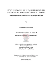 Tembo Chanyenga Phd Thesis Final for SU Library 20130902