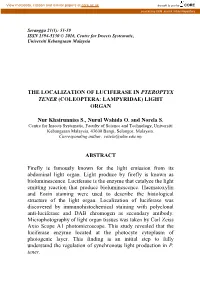 The Localization of Luciferase in Pteroptyx Tener (Coleoptera: Lampyridae) Light Organ