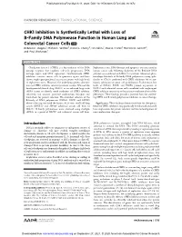 CHK1 Inhibition Is Synthetically Lethal with Loss of B-Family DNA Polymerase Function in Human Lung and Colorectal Cancer Cells a C Rebecca F