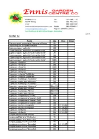Conifer List
