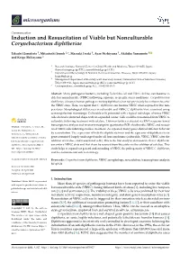 Induction and Resuscitation of Viable but Nonculturable Corynebacterium Diphtheriae