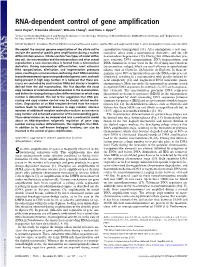 RNA-Dependent Control of Gene Amplification
