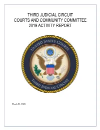 Third Judicial Circuit Courts and Community Committee 2019 Activity Report